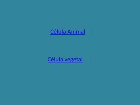 Célula Animal Célula vegetal.