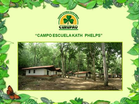 “CAMPO ESCUELA KATH PHELPS”. En una área extensa dentro un mágico bosque, contamos con 4 cabañas que alojan 68 personas; un amplio comedor y una cocina.