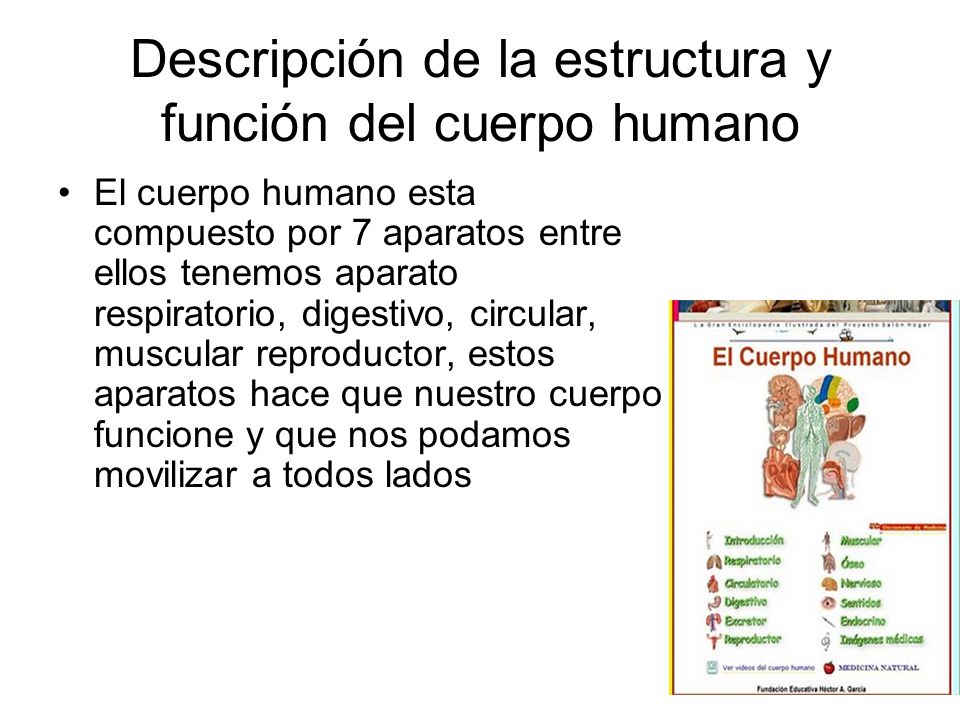 Descripción de la estructura y función del cuerpo humano Descripción de la estructura y función del cuerpo humano