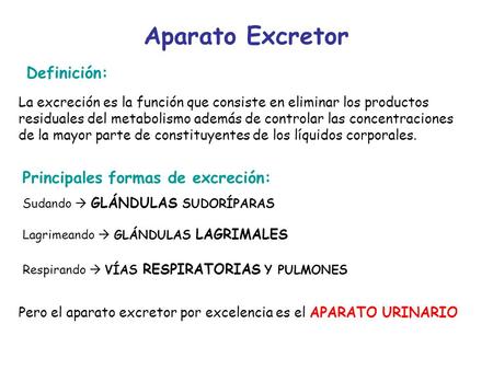Aparato Excretor Definición: Principales formas de excreción: