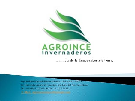 ………donde le damos sabor a la tierra. Agroindustria inmobiliaria centauro S.P.R. de R.L. de C.V. Ex-Hacienda Laguna de Lourdes, San Juan del Rio, Querétaro.