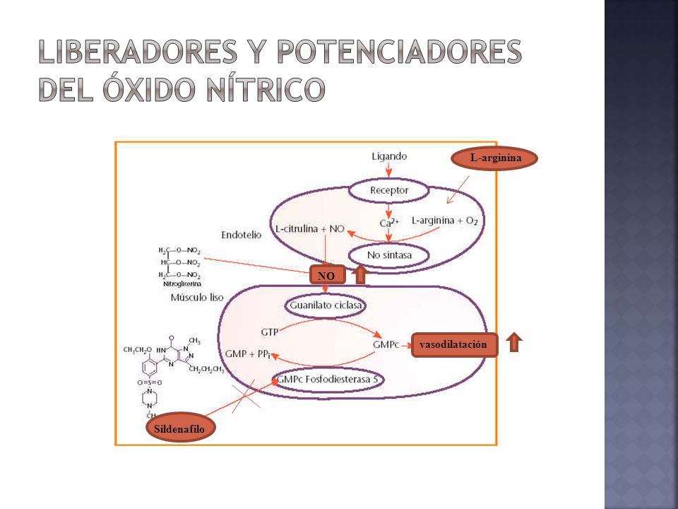 Hipertensión PULMONAR EN PEDIATRIA - ppt descargar Hipertensión PULMONAR EN PEDIATRIA - ppt descargar