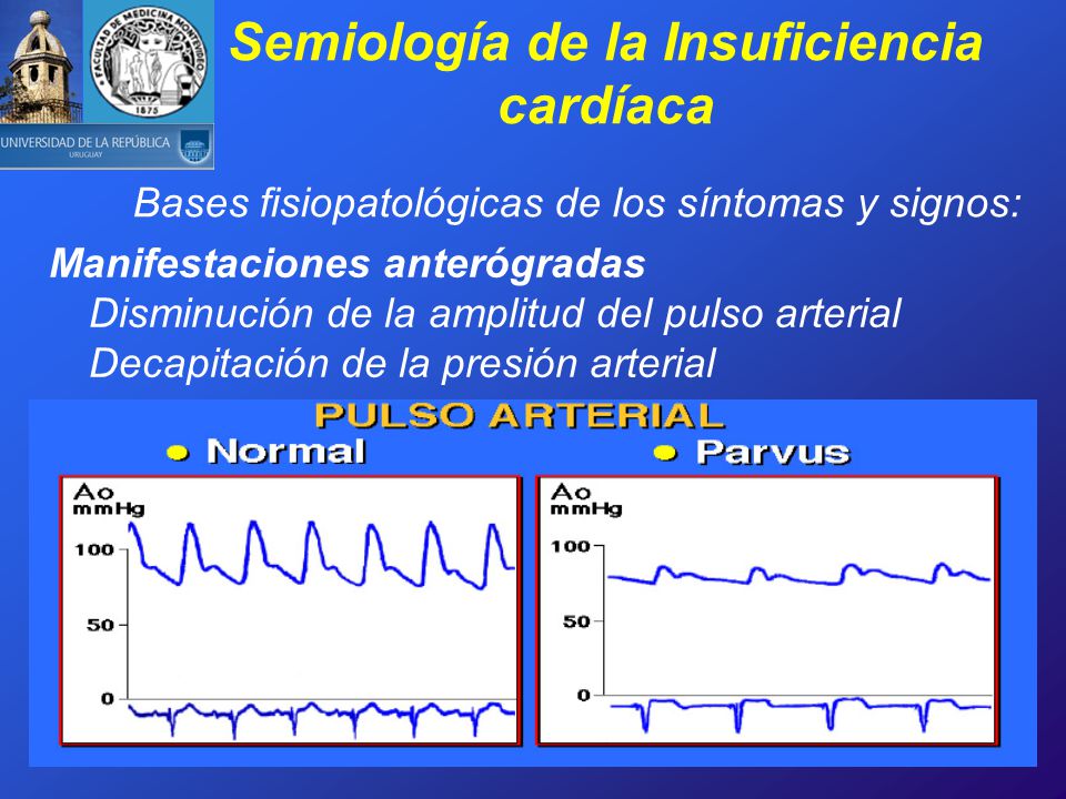 CIMI Curso de Semiología Médica - ppt video online descargar CIMI Curso de Semiología Médica - ppt video online descargar