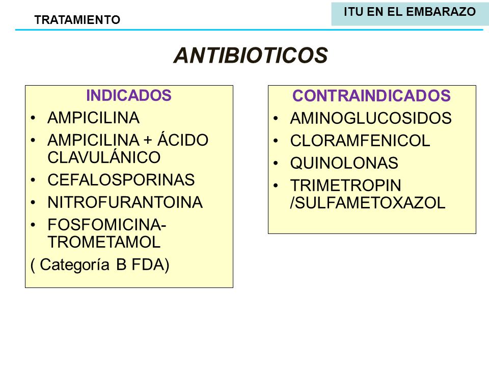 Cefadroxil Antibiotico