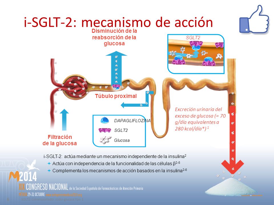 ¿QUÉ SE SABE DE LOS NUEVOS ANTIDIABÉTICOS EN RELACIÓN A SU ¿QUÉ SE SABE DE LOS NUEVOS ANTIDIABÉTICOS EN RELACIÓN A SU