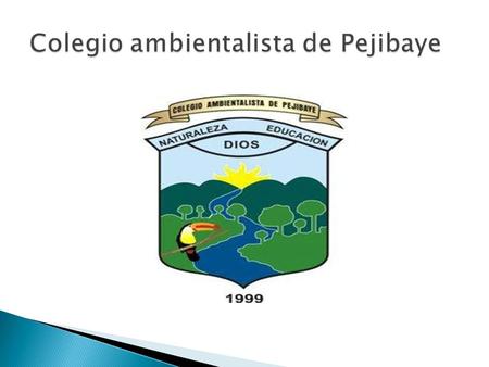 Colegio ambientalista de Pejibaye