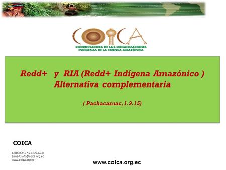 COICA Teléfono:+ 593-322-6744    Redd+ y RIA (Redd+ Indígena Amazónico ) Alternativa complementaria.