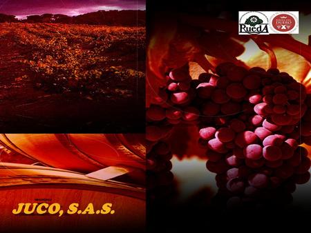 JUCO, S.A.S.. Juco S.A.S pretende adaptarse a las nuevas tendencias de la actual Ribera del Duero, elaborando un vino más aromático y con mejores sensaciones.
