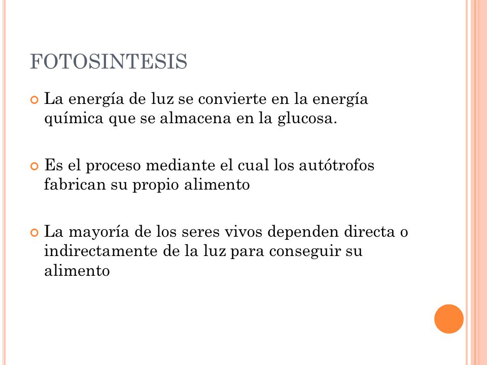 Fotosintesis. - ppt descargar Fotosintesis. - ppt descargar