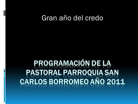 Programación de la pastoral parroquia san Carlos borromeo año 2011