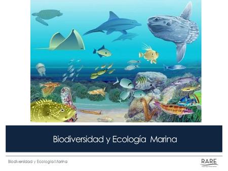 Biodiversidad y Ecología Marina