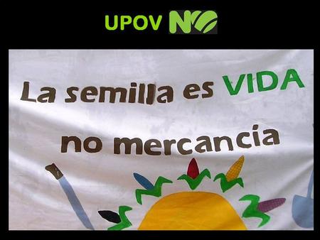 El 6 de noviembre un colectivo del Bloque Verde se hizo presente en la Asamblea Legislativa para decir ¡¡NO!! a la Ley y al Convenio UPOV.