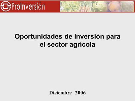 Diciembre 2006 Oportunidades de Inversión para el sector agrícola.