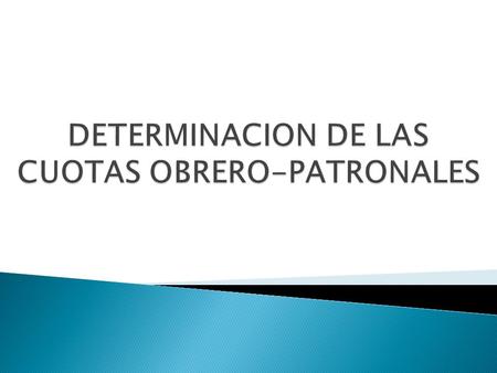 DETERMINACION DE LAS CUOTAS OBRERO-PATRONALES