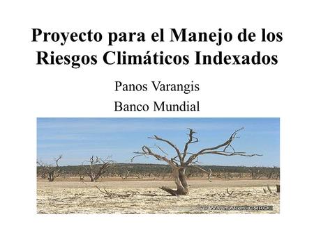 Proyecto para el Manejo de los Riesgos Climáticos Indexados Panos Varangis Banco Mundial.