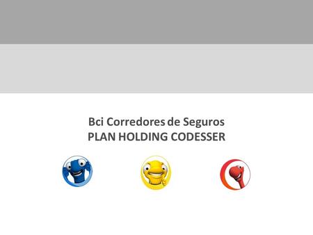 Bci Corredores de Seguros PLAN HOLDING CODESSER