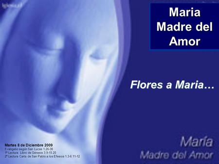 Maria Madre del Amor Flores a Maria… Martes 8 de Diciembre 2009