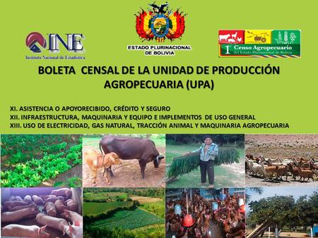 BOLETA CENSAL DE LA UNIDAD DE PRODUCCIÓN AGROPECUARIA (UPA)