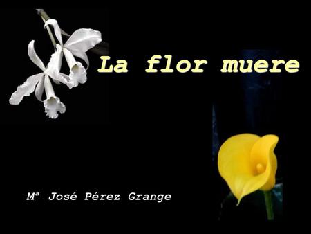 La flor muere Mª José Pérez Grange Muere la flor cuando no la nombras, porque en ti no hay espacio para la belleza. La flor muere.