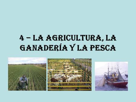 4 – la agricultura, la ganadería y la pesca