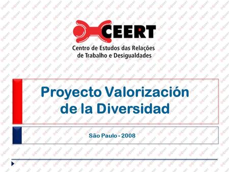Proyecto Valorización de la Diversidad São Paulo - 2008.
