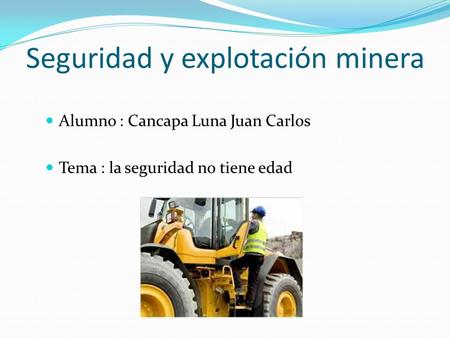 Seguridad y explotación minera