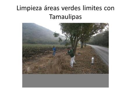 Limpieza áreas verdes limites con Tamaulipas. Apoyo con 2 postes para el alumbrado del J.N. Plan de San Luis.