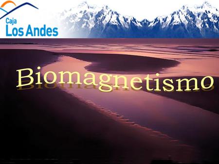 Biomagnetismo.