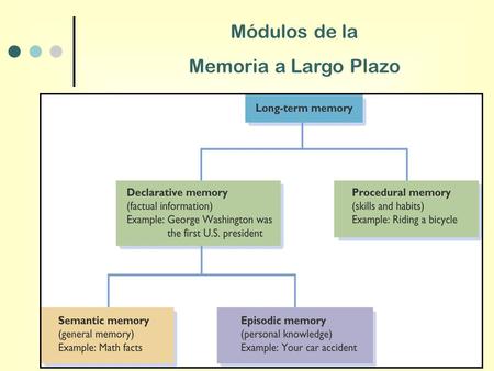 Módulos de la Memoria a Largo Plazo.