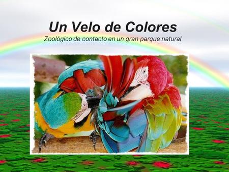 Un Velo de Colores Zoológico de contacto en un gran parque natural