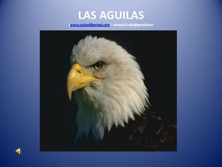 LAS AGUILAS (www.visionlibertad.com)