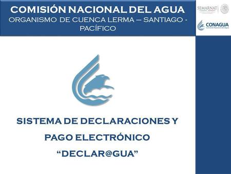 COMISIÓN NACIONAL DEL AGUA SISTEMA DE DECLARACIONES Y PAGO ELECTRÓNICO