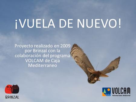 ¡VUELA DE NUEVO! Proyecto realizado en 2009 por Brinzal con la colaboración del programa VOLCAM de Caja Mediterraneo.