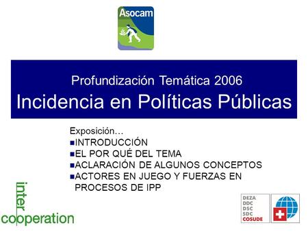Profundización Temática 2006 Incidencia en Políticas Públicas