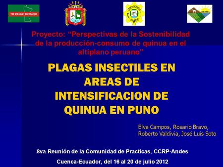 PLAGAS INSECTILES EN AREAS DE INTENSIFICACION DE QUINUA EN PUNO