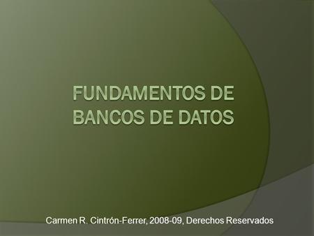 Carmen R. Cintrón-Ferrer, 2008-09, Derechos Reservados.