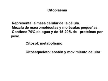 Citoplasma Representa la masa celular de la célula.