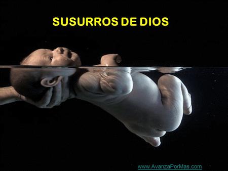 SUSURROS DE DIOS www.AvanzaPorMas.com.