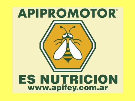 APIPROMOTOR® es suplemento de polen en su mayor valor proteico Aminoácidos + Vitaminas Fácil aplicación Recuperar, Reforzar e Incentivar Incorporándolo.