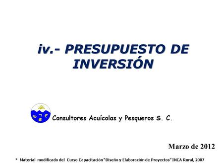 iv.- PRESUPUESTO DE INVERSIÓN