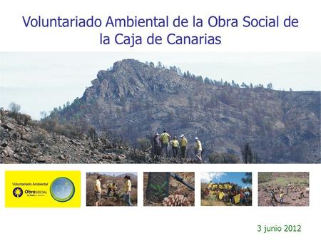 Voluntariado Ambiental de la Obra Social de la Caja de Canarias 3 junio 2012.