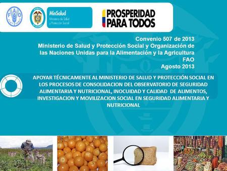 Convenio 507 de 2013 Ministerio de Salud y Protección Social y Organización de las Naciones Unidas para la Alimentación y la Agricultura FAO Agosto 2013.