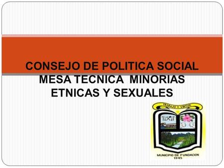 CONSEJO DE POLITICA SOCIAL MESA TECNICA MINORIAS ETNICAS Y SEXUALES