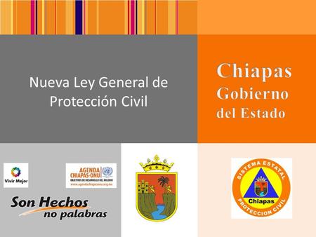 Ley General de Protección Civil
