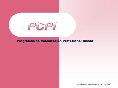 PCPI Programas de Cualificación Profesional Inicial