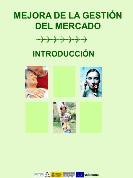 MEJORA DE LA GESTIÓN DEL MERCADO INTRODUCCIÓN. 2 Introducción 2 1 3 Objetivos y alcance del proyecto Fases del proyecto INDICE.