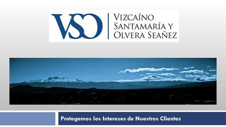 Protegemos los Intereses de Nuestros Clientes. Visión 1. Vizcaíno, Santamaría y Olvera Seañez, S.C. nace como una firma jurídica integrada por abogados.