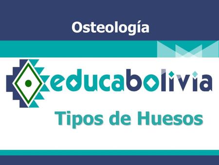 Osteología Tipos de Huesos.