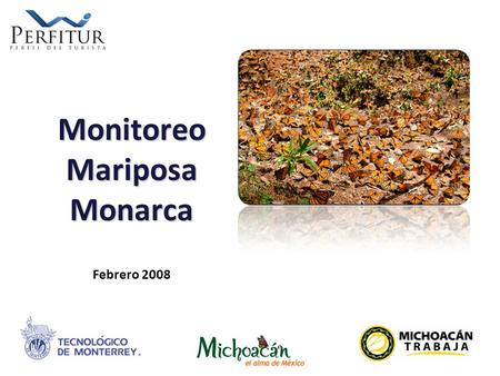 CULTURA EMPRENDEDORA Monitoreo Mariposa Monarca Monitoreo Mariposa Monarca Febrero 2008.