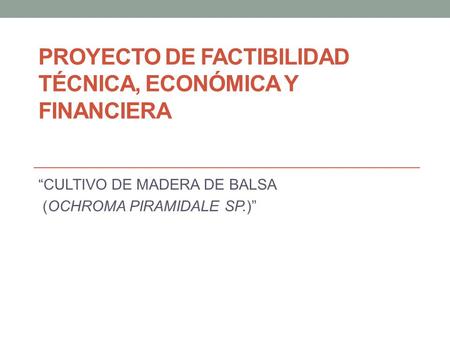 PROYECTO DE FACTIBILIDAD TÉCNICA, ECONÓMICA Y FINANCIERA